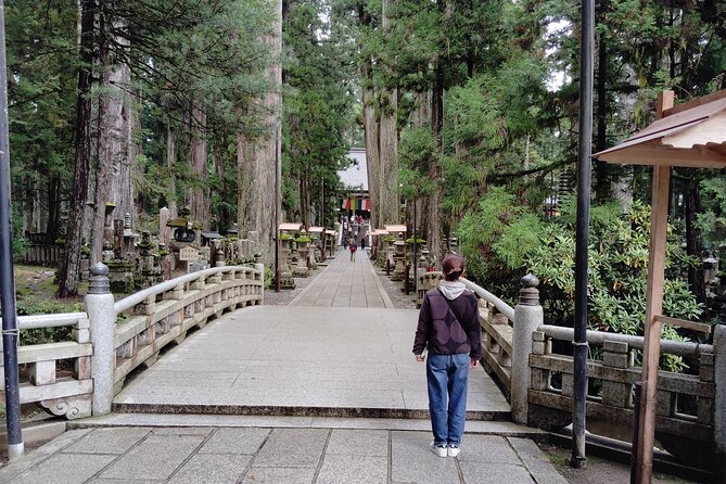 Private Koyasan Day Tour From Osaka – Kii Peninsula UNESCO Site - Meeting Information