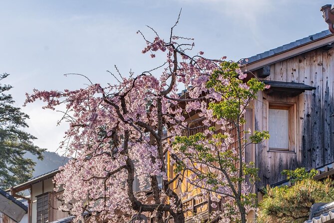Private Kyoto Customizable Day Tour With English Guide - Inclusion Details