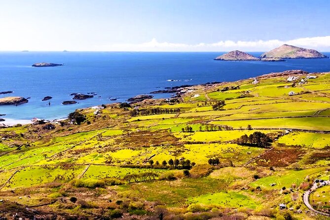 Private Luxury MPV Ring of Kerry and Skellig Ring Tour - Included Amenities