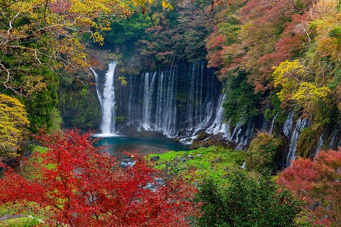 Private Mount Fuji and Hakone City Tour From Tokyo - Whats Included