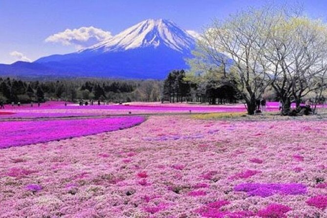 Private Mount Fuji and Hakone One Day Tour - Meeting and Pickup