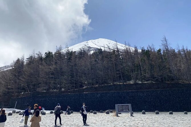Private Mt Fuji and Hakone Day Tour From Tokyo - Tour Conditions