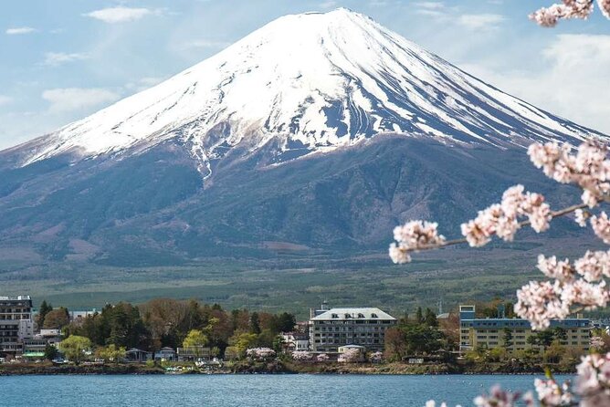 Private Mt. Fuji Custom Tour From Tokyo - Driver and Communication Issues