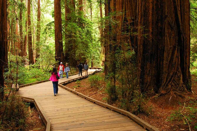 Private Muir Woods, Sausalito, and Marin Headlands Tour Review - Tour Accessibility