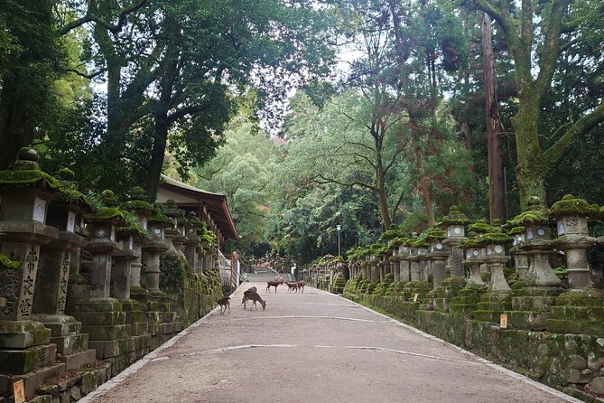Private Nara Experience With Local Guide - Highlights of the Tōdai-ji Temple