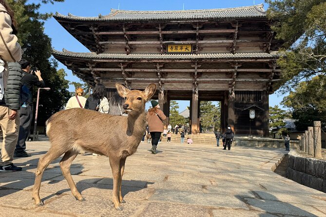 Private Nara Tour and Sake Tasting (Departing From Kyoto/Nara) - Meeting and Ending Points