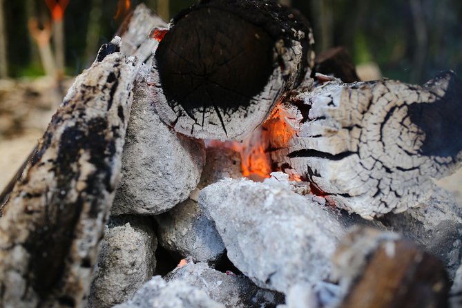 Private or Small-Group Temazcal Maya Ritual From Playa Del Carmen - Overview of the Temazcal Ritual
