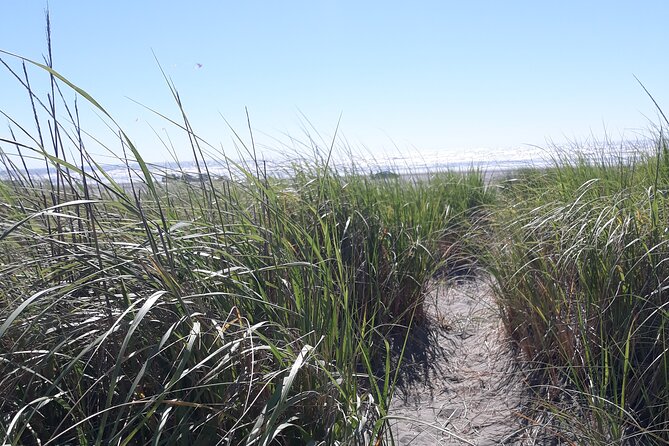 Private Pacific Ocean Beach Experience - Included Amenities