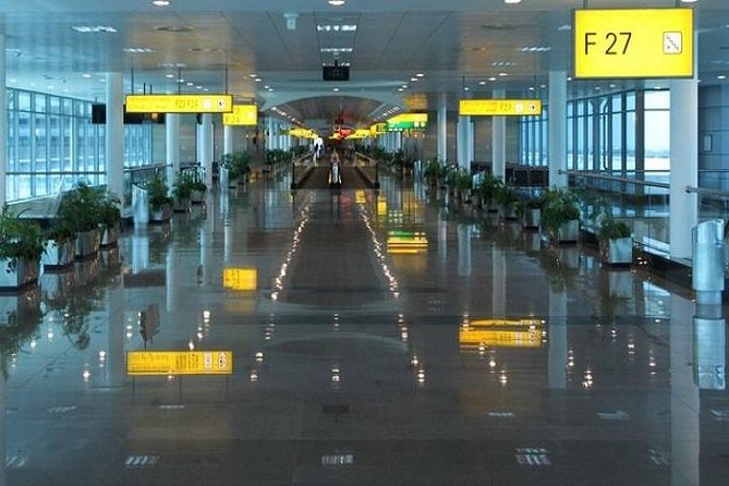 Private Pickup Transfer From Cairo Airport to Hotels in Cairo - Pricing Details