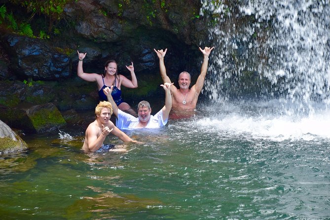 Private Road to Hana Tour - Group Size and Duration