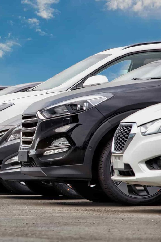 Private Round-trip Transfer: From Heathrow Airport ↔ Dorking - Luxury and Comfort