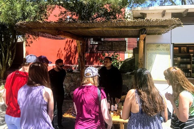 Private Santorini Food & Wine Experience Trip - Wine and Food Tasting