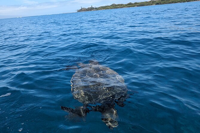 Private Scenic and Reef Snorkeling Kayak Adventure in West Maui - Meeting and Pickup Details