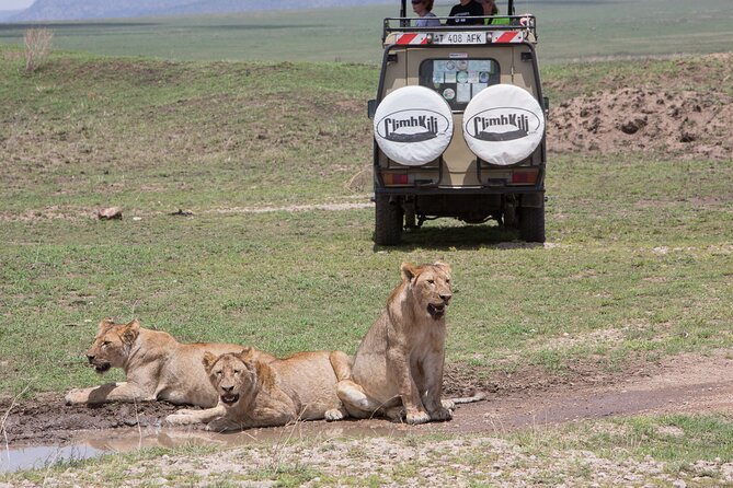 Private Serengeti Safari, Ngoro Crater & Tarangire National Park - Exploring Ngoro Crater
