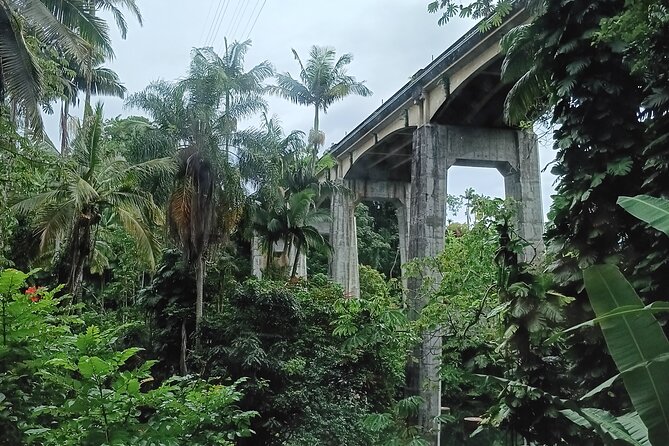 Private Shore Excursion Hilo Review - Meeting and Pickup Information
