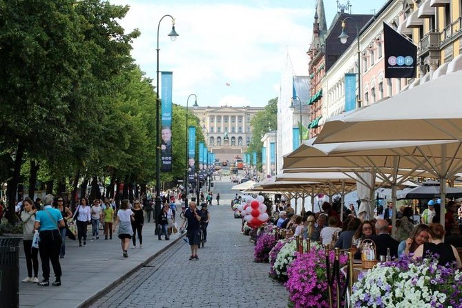 Private Shore Excursion: Oslo City Tour and Viking Ship Museum - Itinerary Highlights