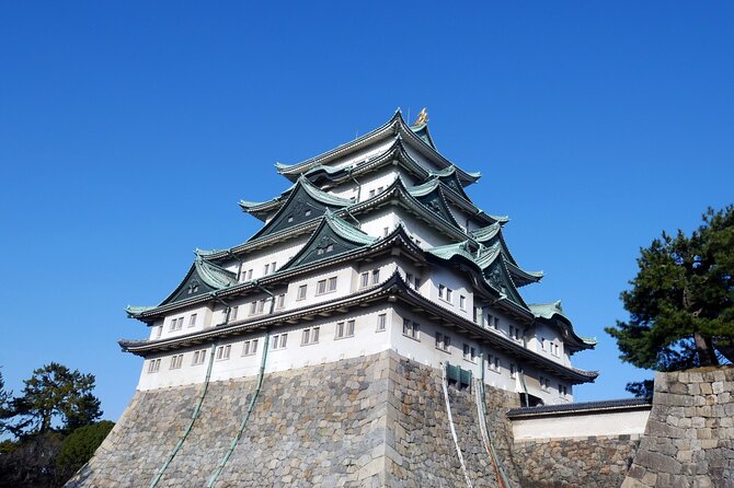 Private Shore Excursion Tour From Nagoya With Licensed Guide - Inclusions