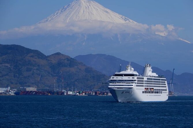 Private Sightseeing Tour From Shimizu Port /Small Bus - Meeting and Pickup Information