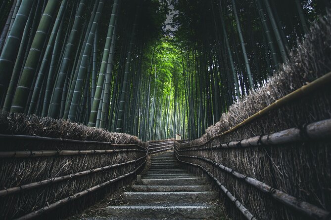 Private Sightseeing Tour Visit in Kyoto With Transfer Included - Inclusions