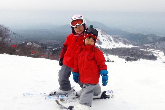 Private Ski Lesson for Family or Group(Transport Included ) - Inclusions