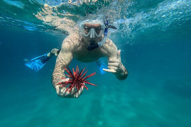 Private Snorkel With Beach Set-Up - Meeting Point and Transportation Details