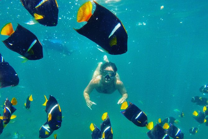Private Stand Up Paddle Experience in Los Arcos Jalisco - Customizable Options Available