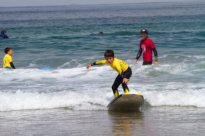 Private Surf Lesson on Venice Beach - Accessibility Options
