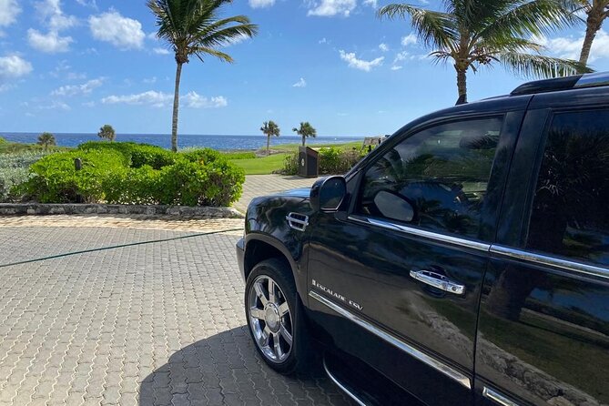 Private Taxi From Punta Cana to Las Terrenas - Accessibility Features