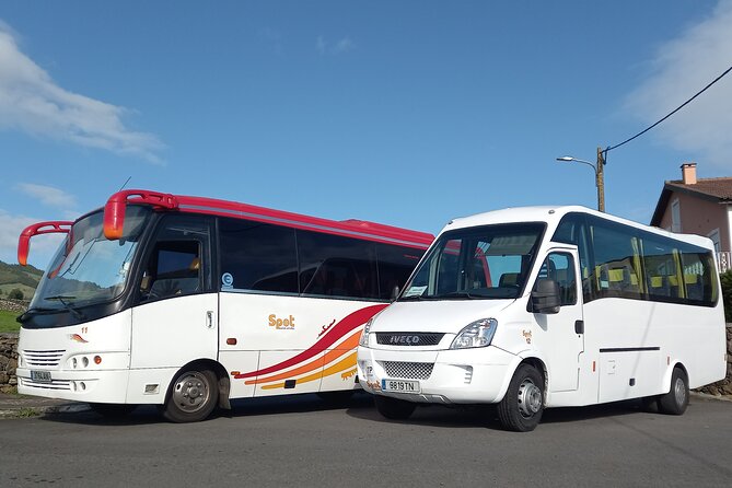 Private Terceira Island Half Day Bus Tour - Inclusions