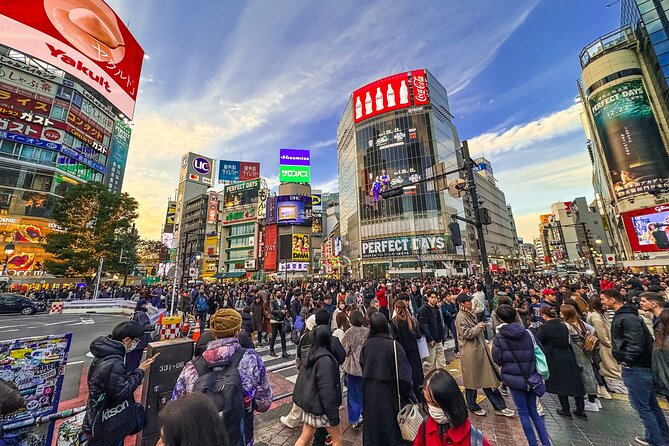 Private Tokyo Tour by Subway W/Licensed English-Speaking Guide - Accessibility and Health Considerations