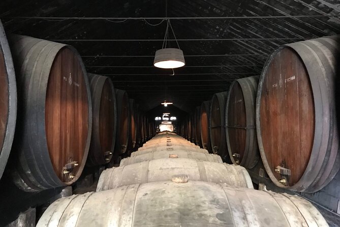 Private Tour Azeitão and Arrábida Wine Cellar From Lisbon - Meeting and Pickup Details