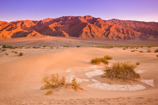 Private Tour Death Valley Review: Worth It - Sights and Highlights