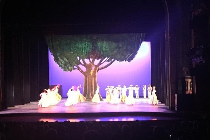 Private Tour: Folkloric Ballet in Mexico City - Included Services