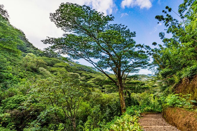 PRIVATE TOUR-Hike Diamond Head & Hawaiian Waterfall - Inclusions