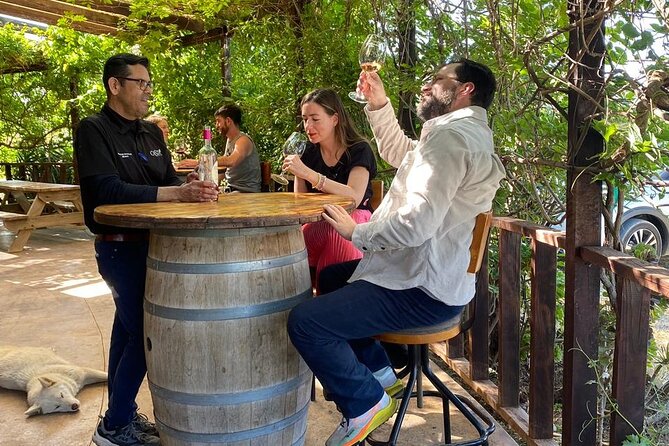 Private Tour in Guadalupe Valley, Vine Yards & Wine Route ENS MX - Inclusions and Amenities