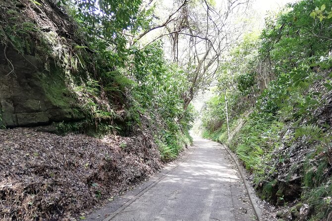 Private Tour of North Kamakura Temples With Licensed Guide - Meeting and End Points