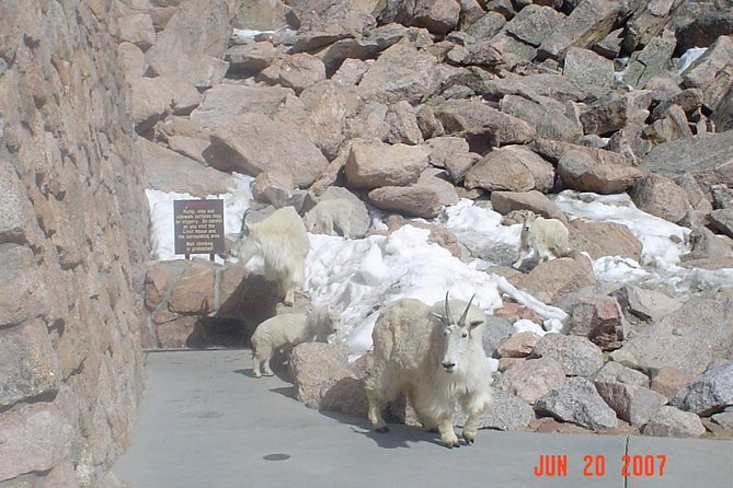 Private Tour of Red Rocks, Echo Lake, Mount Evans and Idaho Springs. - Tour Details and Schedule