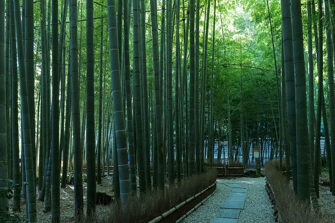 Private Tour of the Ancient Capital Kamakura From Tokyo - Customized Experience