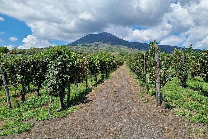 Private Tour Pompeii and Vesuvio Park From Napoli or Amalfi Coast - Pickup Information