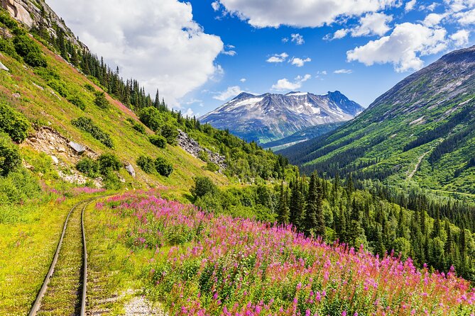 Private Tour Skagway City & Summit Review - Tour Conditions
