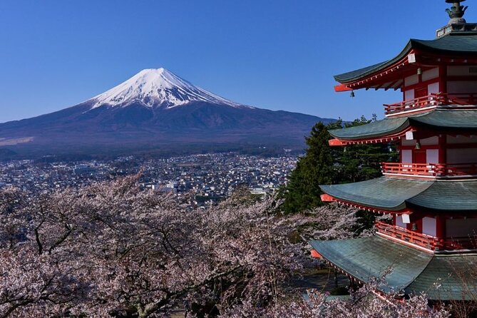 Private Tour to Mount Fuji With an English Driver From Tokyo - Pickup and Meeting Information