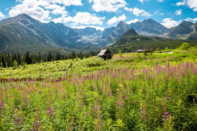 Private Tour to Zakopane & Tatra Mountains - Pickup Information