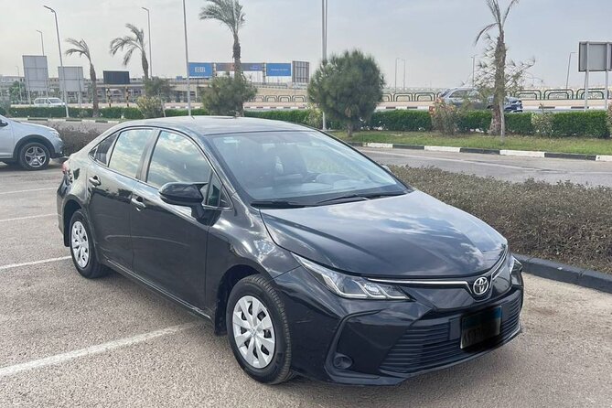 Private Transfer Around Cairo - Pricing Details
