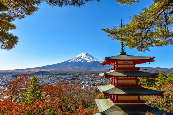 Private Transfer Between Tokyo and Lake Kawaguchi/Mt. Fuji/Hakone - Vehicle and Capacity