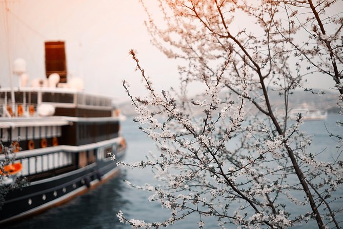 Private Transfer: Frankfurt to River Cruise Dock Nuremberg Port/Harbor Transport - Included in the Transfer