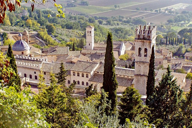Private Transfer From Accommodation in ASSISI to Accommodation in ROME - Vehicle and Comfort