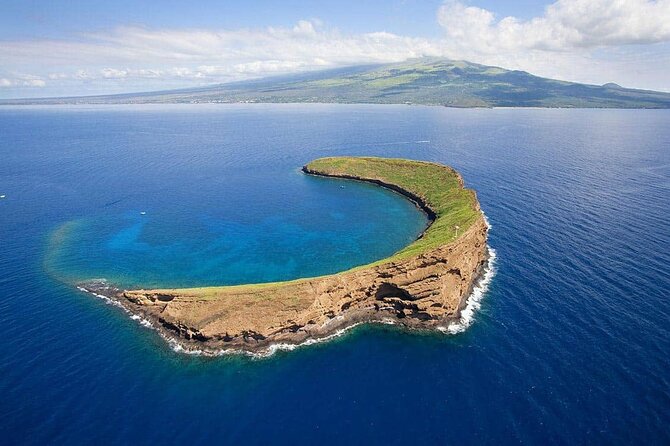 Private Transfer Kahului Airport OGG to Maui Kihei Lahaina Wailea - Accessibility and Requirements