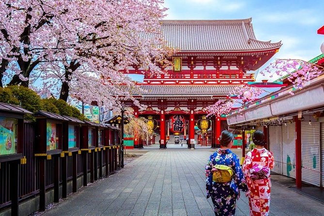 Private Transfer: Tokyo to Haneda Airport HND in Luxury Car - Pricing and Group Size