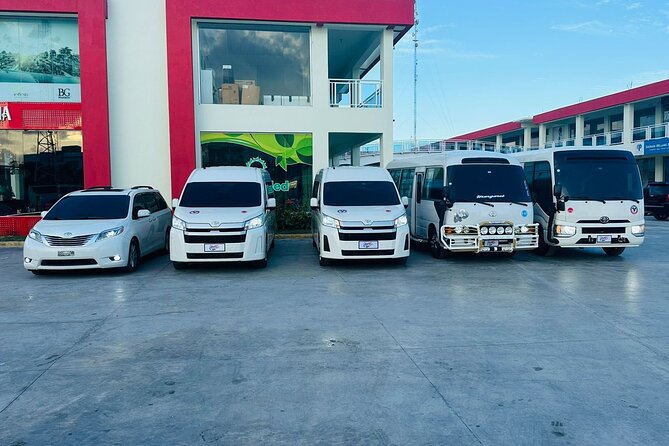 Private Transportation to and From the Punta Cana Airport - Accessibility Features