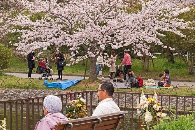 Private Unique Kobe Cherry Blossom Sakura Experience - Meeting and Pickup